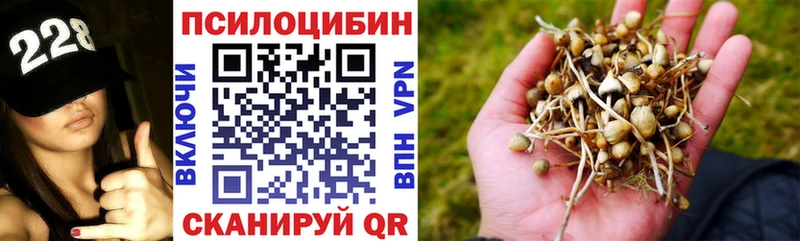 Псилоцибиновые грибы Psilocybine cubensis  Пыть-Ях 